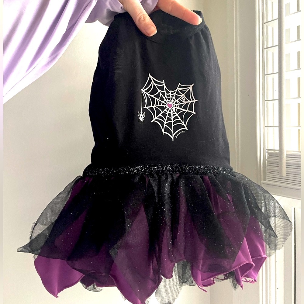 Small Halloween Pet Dress/Costume with Spiderweb Heart